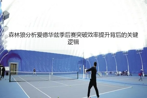 森林狼分析爱德华兹季后赛突破效率提升背后的关键逻辑